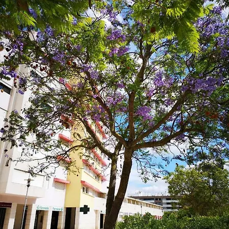Apartment Jardim Dos Jacarandas