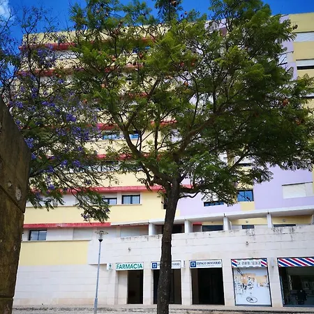 Jardim Dos Jacarandas * Lisbon