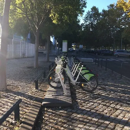 Jardim Dos Jacarandas * Lisbon